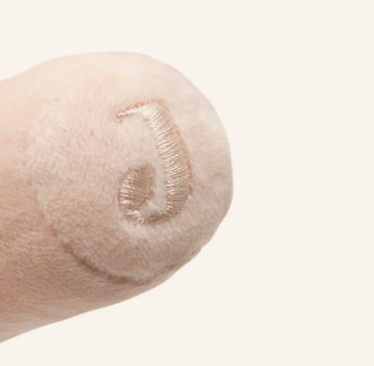 Hochet | Picnic Coccinelle