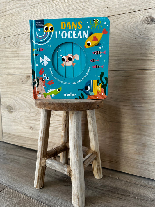 Livre découvertes - Différents modèlesLivre découvertes I Océan