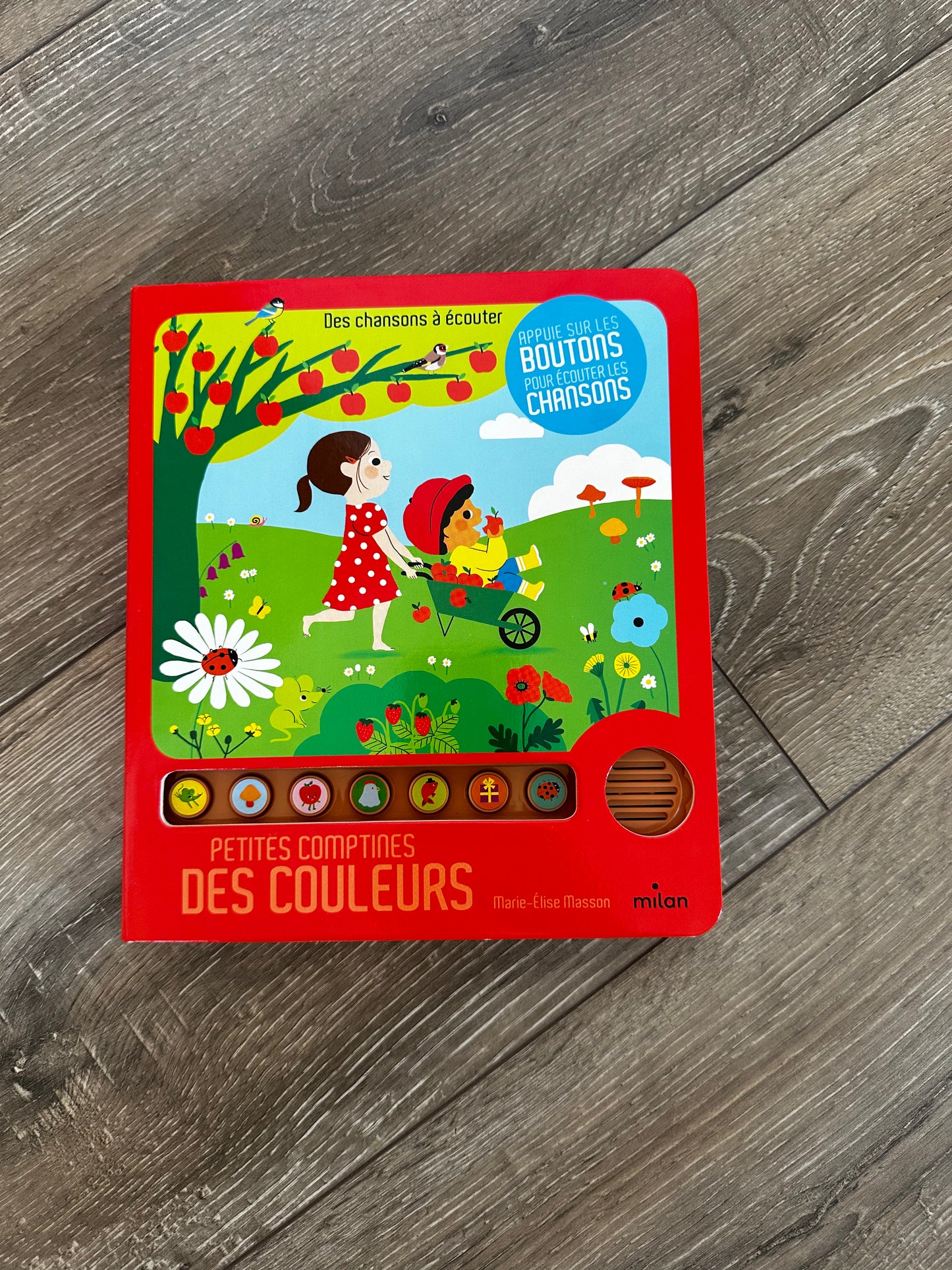 Livres de comptine - Différents modèles
