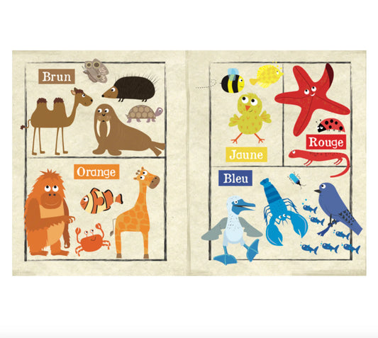 Mon premier journal I Les couleurs