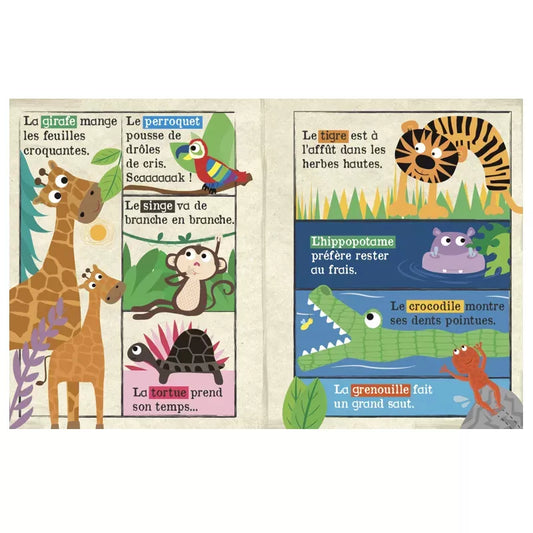 Mon premier journal I Safari