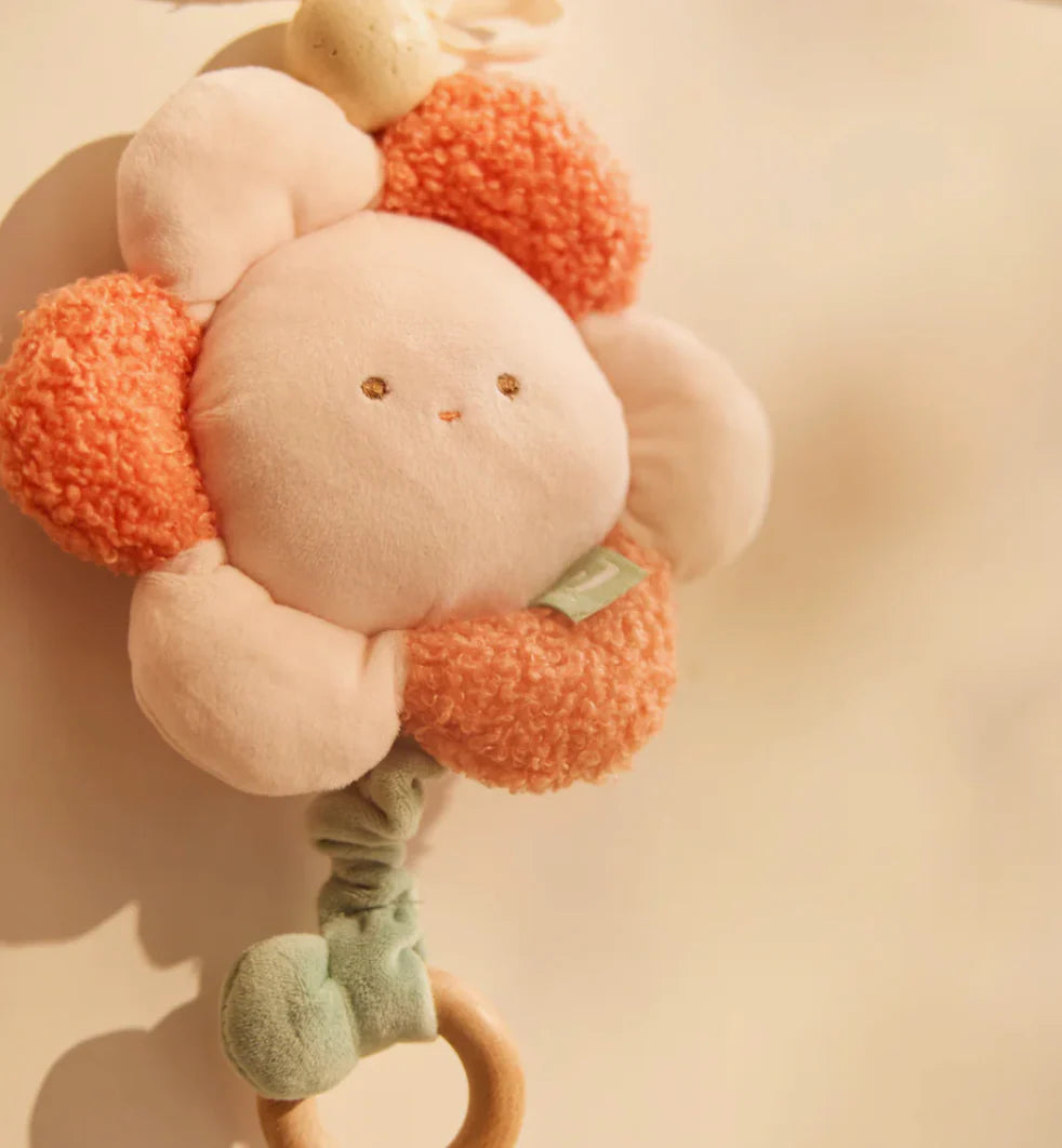 Peluche musicale | Picnic