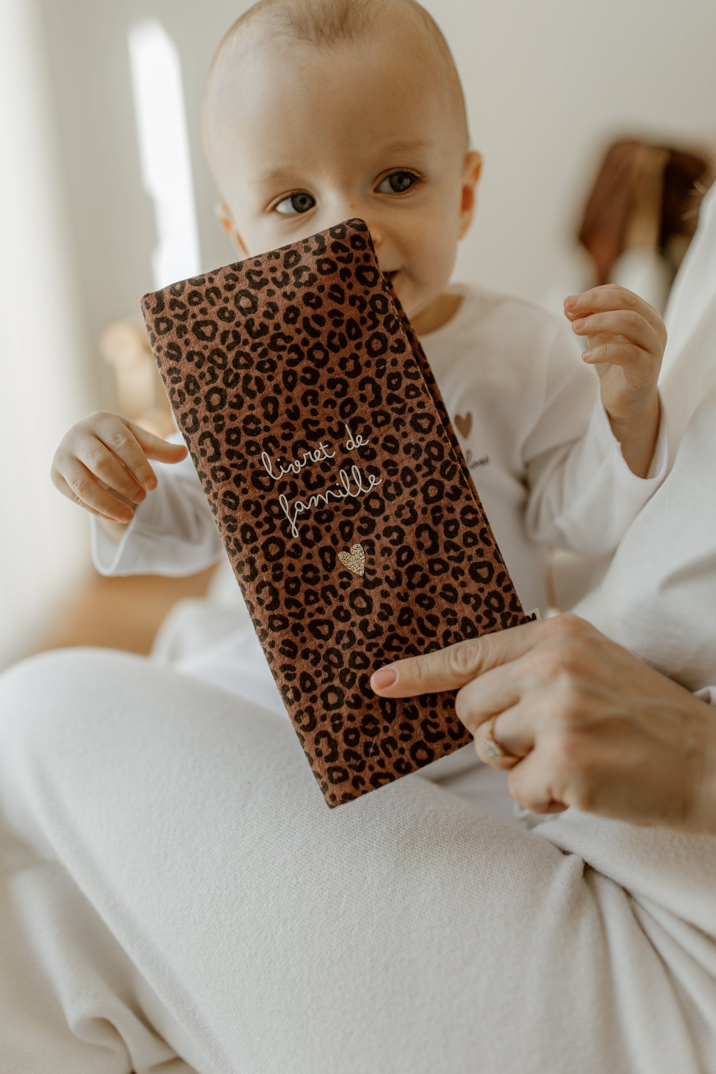 Protège livret de famille | Velour brique