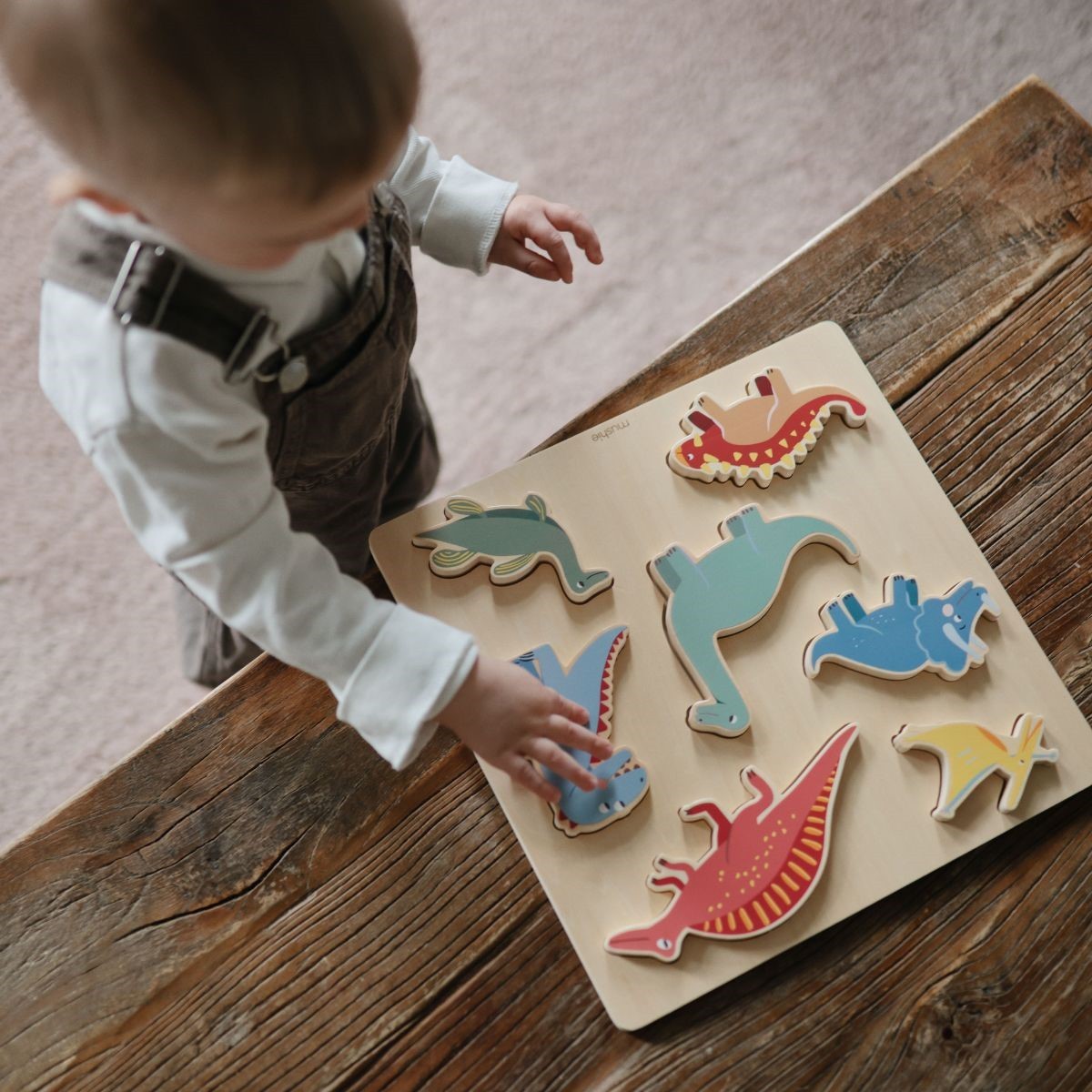 Puzzle en bois I Les Dinosaures