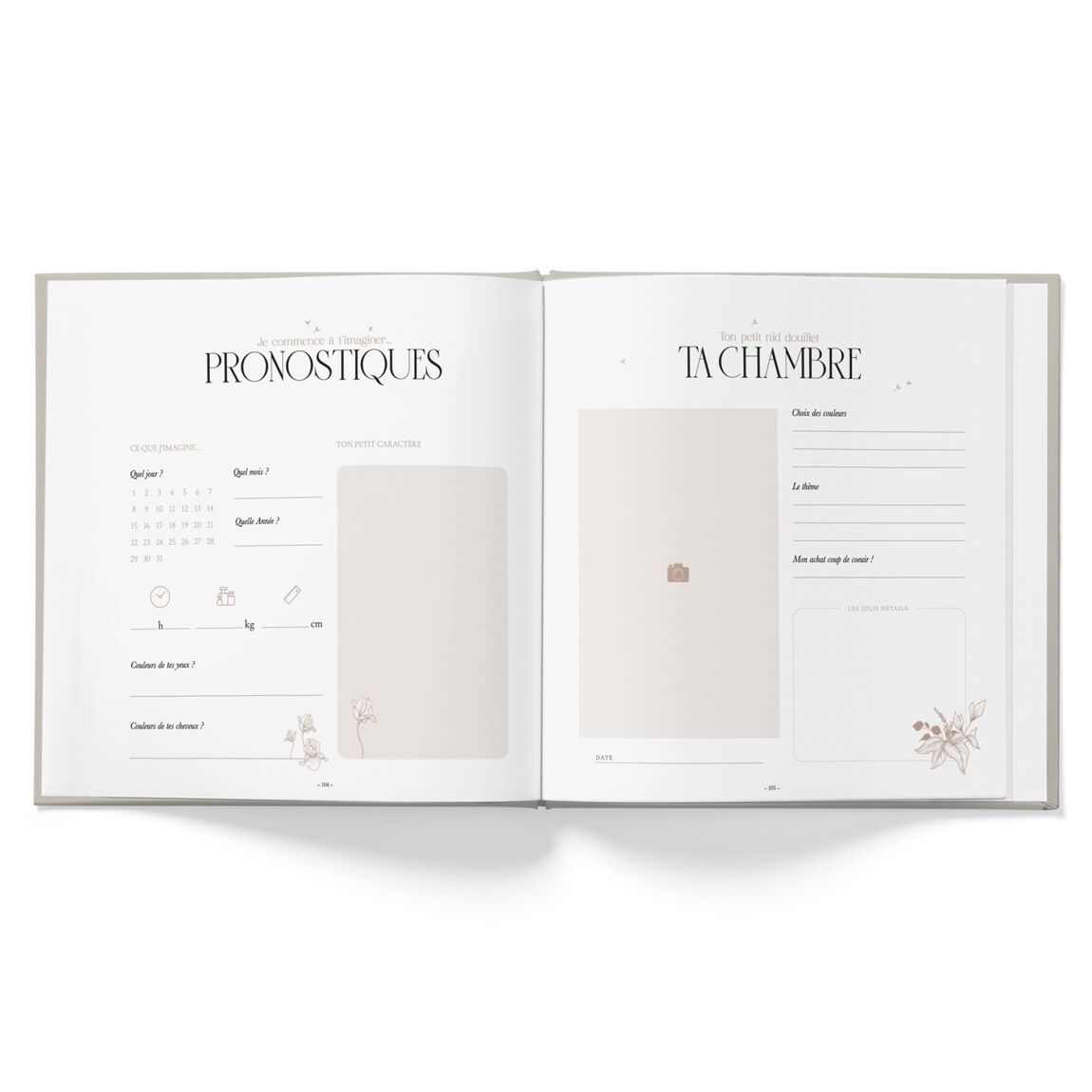 Livre de grossesse