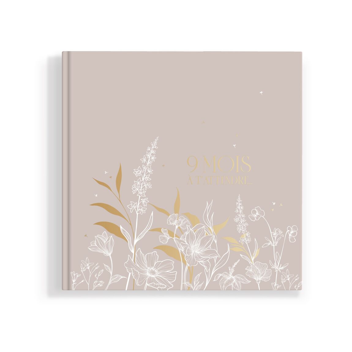 Livre de grossesse