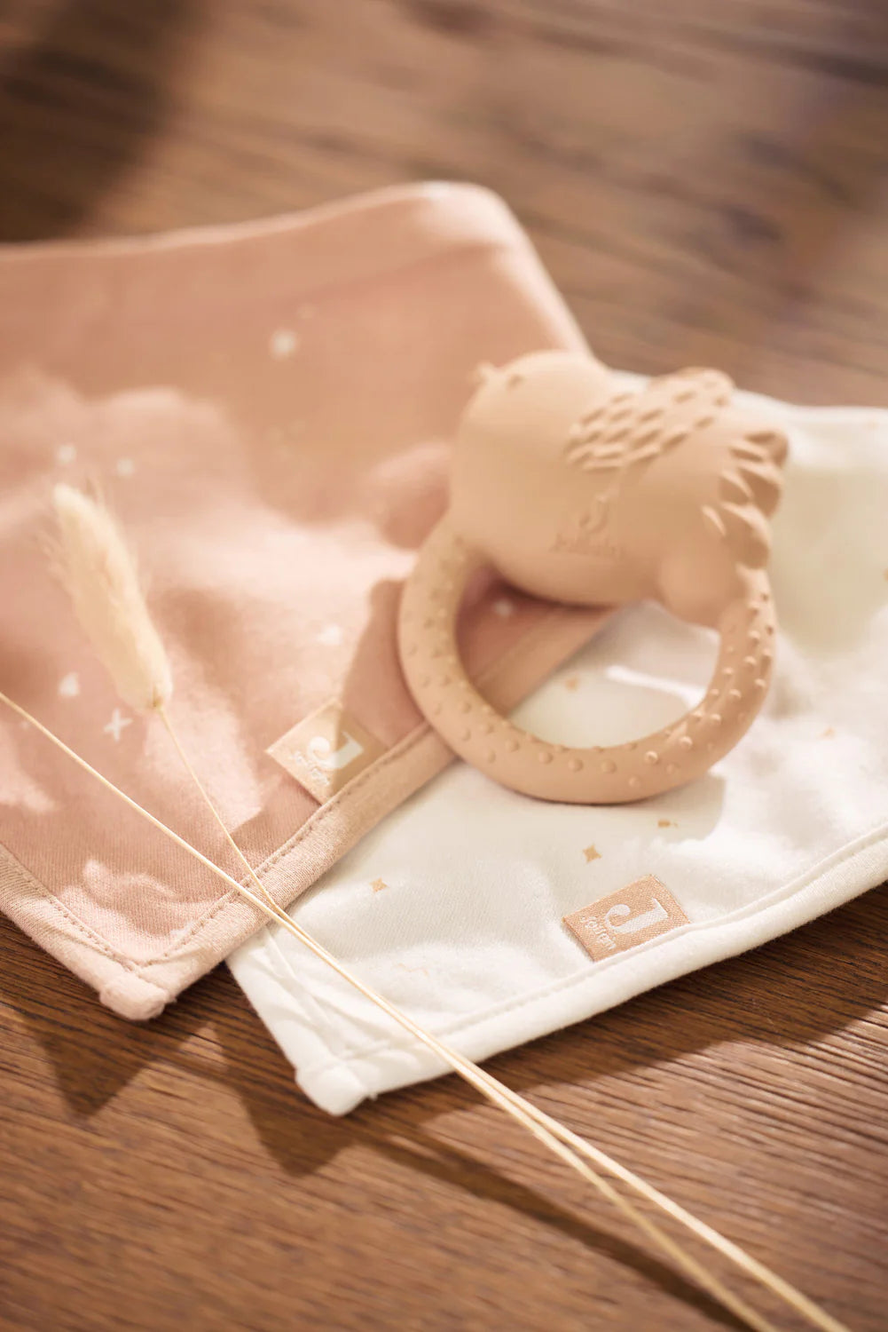 Anneau de dentition | Birds 