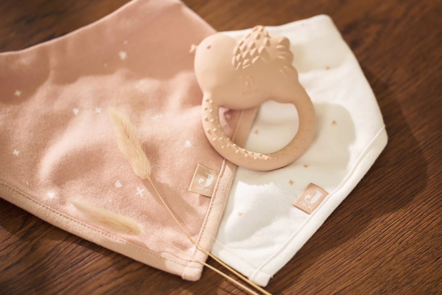 Anneau de dentition | Birds 