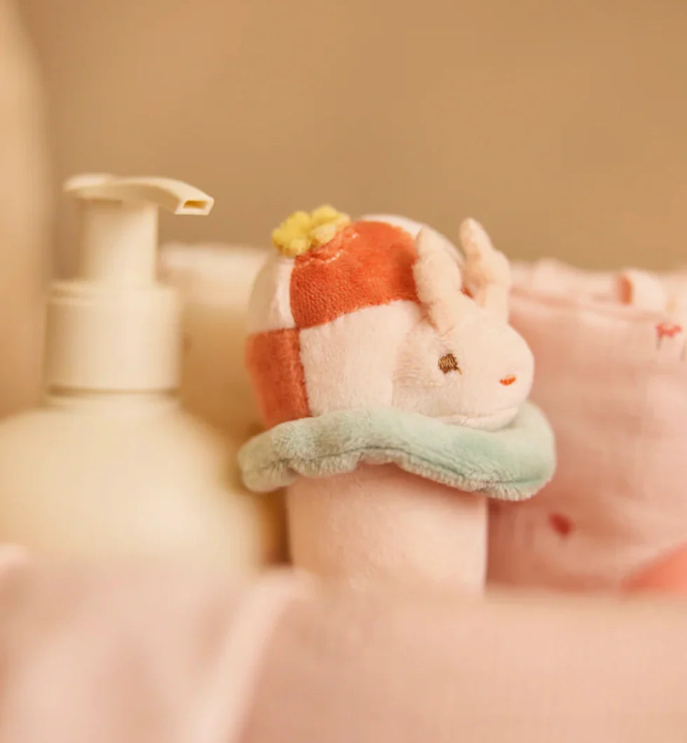 Hochet |  Picnic Coccinelle