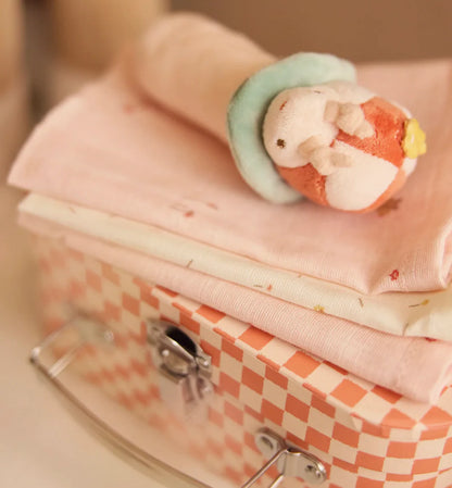 Hochet |  Picnic Coccinelle