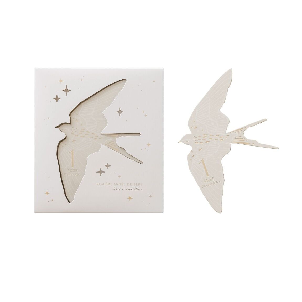 Carte étape d'âge I Birds
