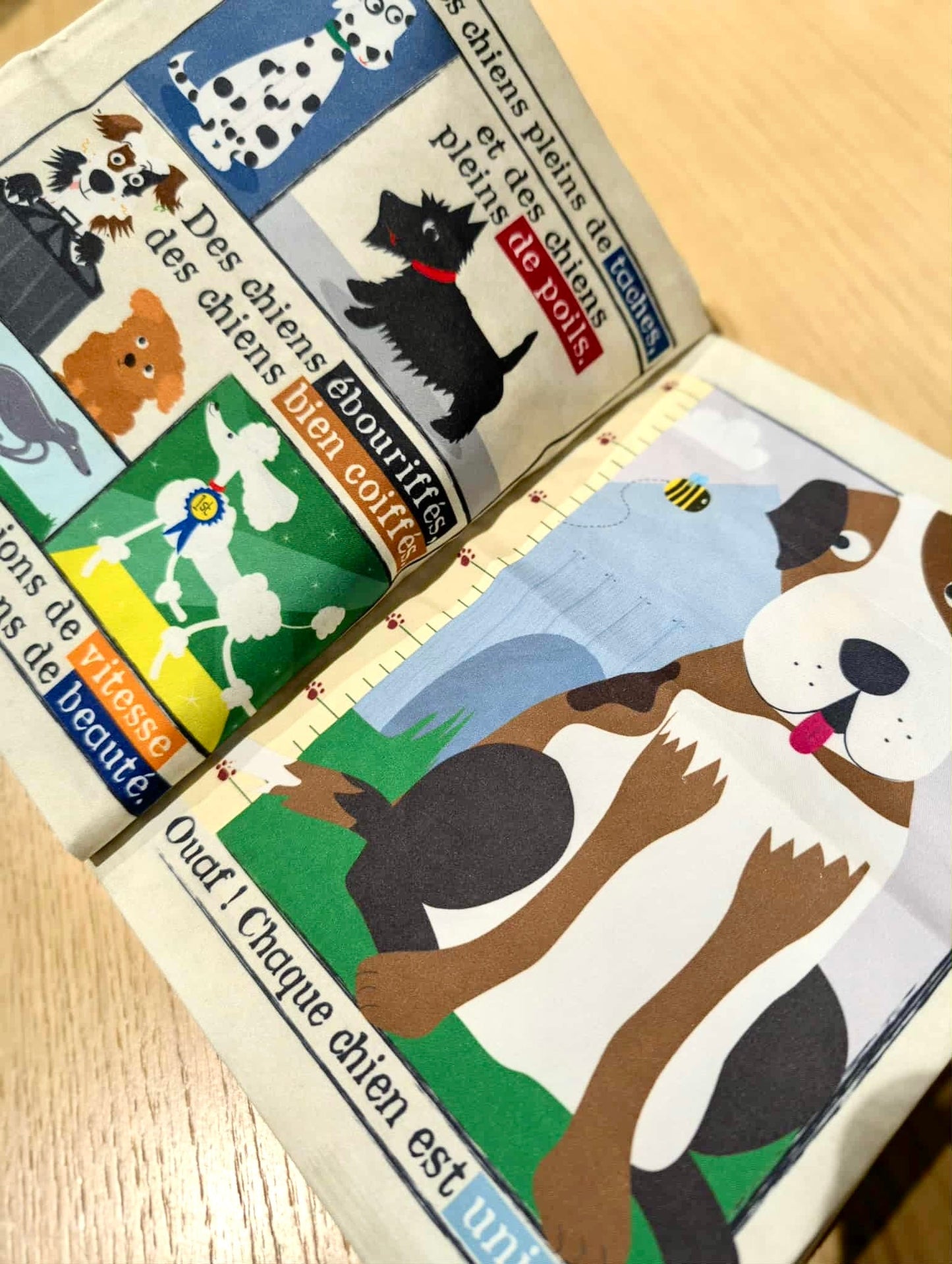 Mon premier journal I Nos animaux les chiens 