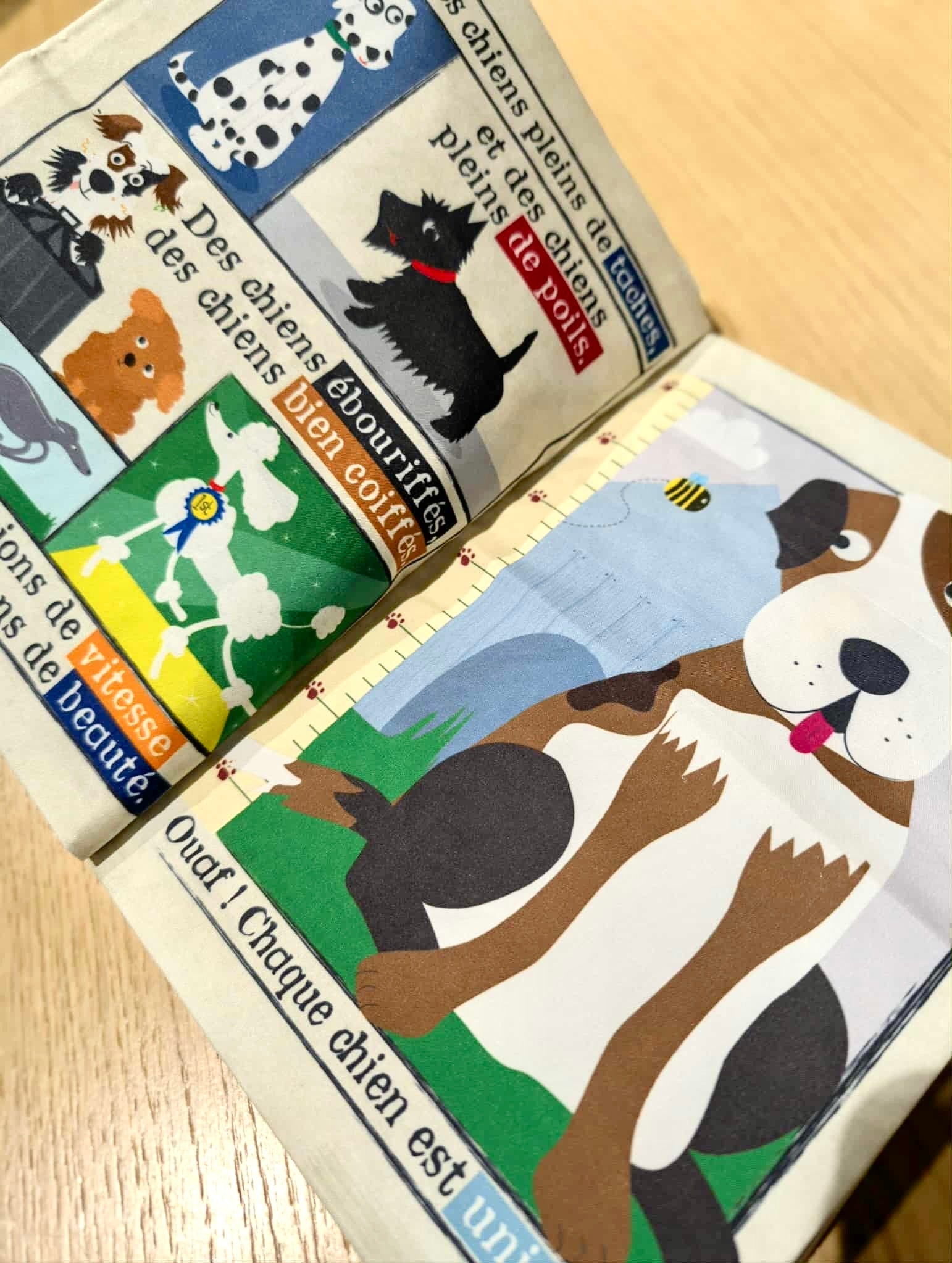 Mon premier journal I Nos animaux les chiens 