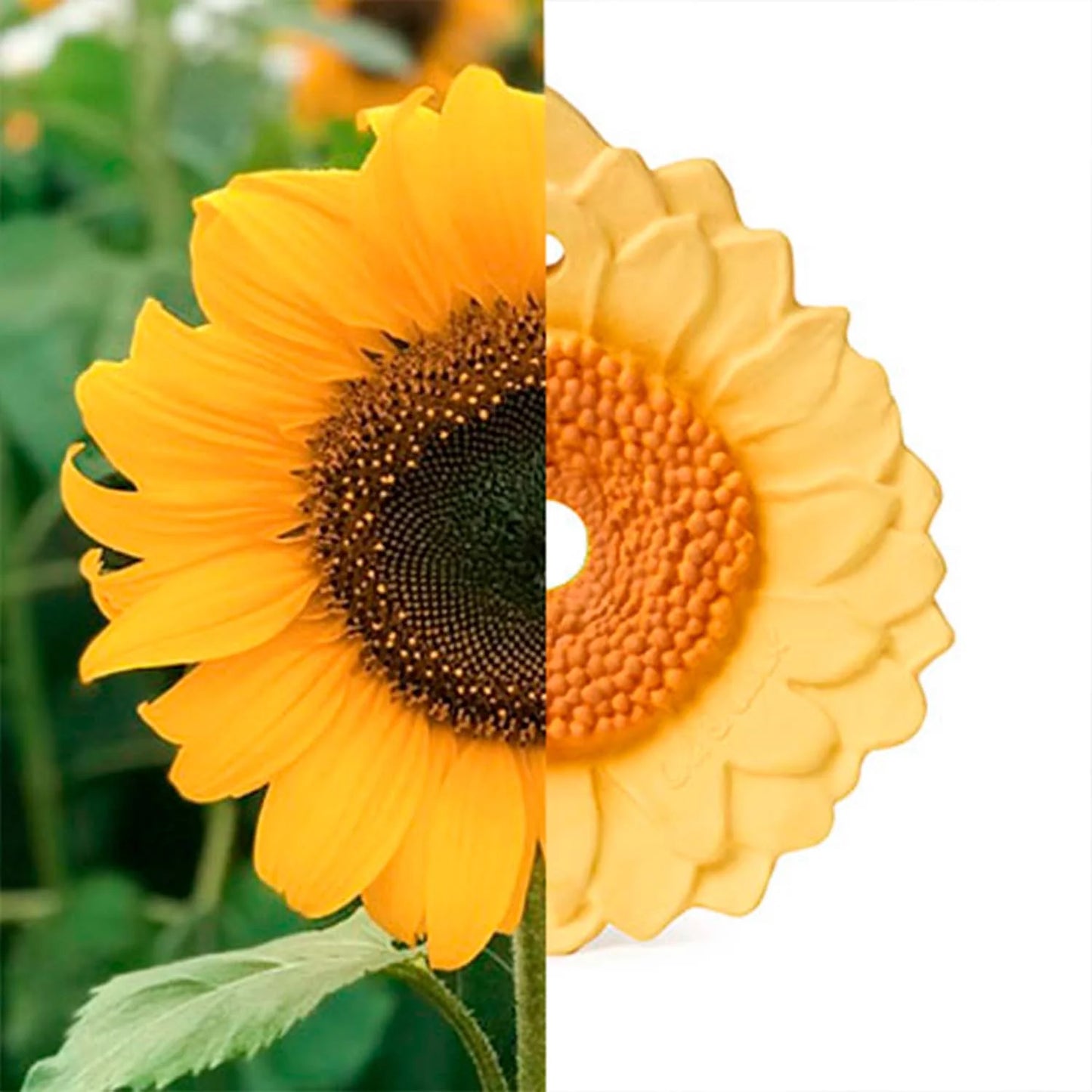 Jouet de dentition | Tournesol